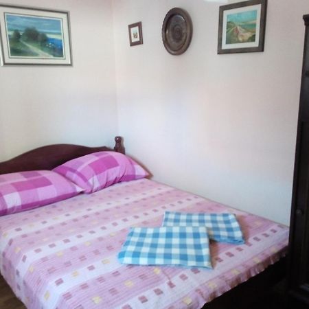 Apartment "Mislav" Gornji Karin Zewnętrze zdjęcie