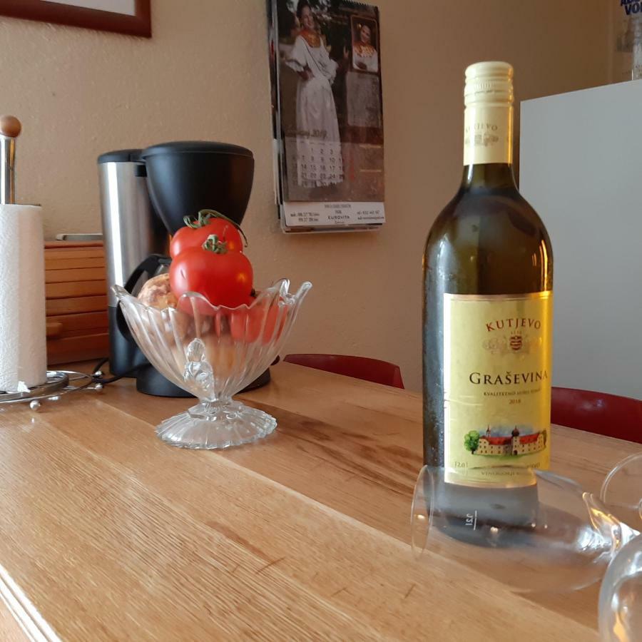 Apartment "Mislav" Gornji Karin Zewnętrze zdjęcie